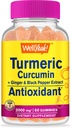 WellYeah Turmeric Curcumin Gummies with Black Pepper - Antioxidant and Digestive Support - Skin Health, and Immune Function - Vegan, Non-GMO - 60 Count 2