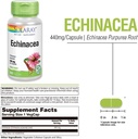 SOLARAY Echinacea Purpurea Root 440 mg | Healthy Immune & Respiratory Function Support | 100 VegCaps 4