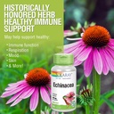 SOLARAY Echinacea Purpurea Root 440 mg | Healthy Immune & Respiratory Function Support | 100 VegCaps 5