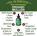 USDA Organic Mullein Leaf Drops for Lungs, Respiratory Health, Detox, Cleanse. High Bioavailability for Women, Men, Kids. Liquid Tincture Supplement. Sooth Lungs, Cough, Congestion. Vegan, Zero Sugar 3