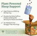 Plant People WonderSleep Mushroom Gummies Supplement Mini with Reishi Super Mushrooms, Saffron, Wild Elderberry Flavor No Sugar Vegan-Friendly & Gluten-Free Trial Size 3