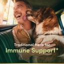 Nature's Bounty Sambucus Elderberry Herbal Supplement, Rapid Release Softgels, 630 mg per Serving, 120 Count 3