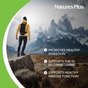Natures Plus AgeLoss Digestion Support - 90 Capsules - Prebiotics, Live Enzymes & 150 mg L-Glutamine - Gluten Free - 30 Servings 4