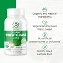 | Organic Wheatgrass Capsules | 60 Count | USDA Certified Organic, Non-GMO, Vegan Supplement for Natural Energy Boost, Immune Support, and Wellness 6