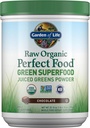 Garden of Life Raw Organic Perfect Food Green Superfood Juiced Greens Powder - Chocolate, 60 Servings, Non-GMO, Gluten Free, Vegan Whole Food Dietary Supplement Plus Probiotics, Enzymes 2