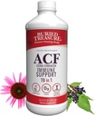 Buried Treasure ACF Extra Strength Immune Support - 16 oz, 16 Servings, Liquid Dietary Immunity Boost w/ Elderberry, Vitamin C & Zinc, Herbal Formula 2