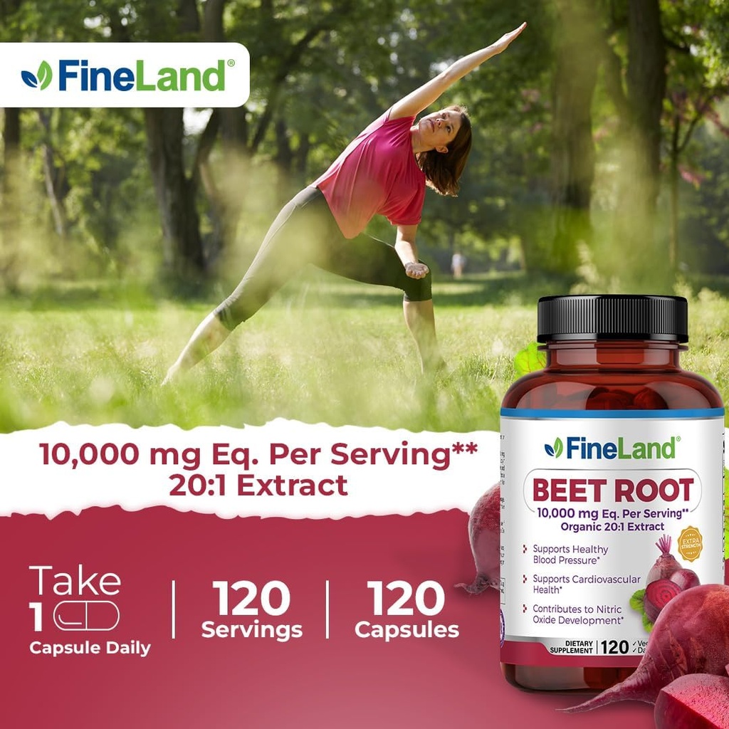 FineLand Beet Root Capsules | Blood Pressure Support 10,000mg Equivalent per Serving | 20:1 Extract,120 Vegan Capsules – Immune System, Circulation & Heart Health – Non GMO, Made in USA 5