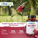 FineLand Beet Root Capsules | Blood Pressure Support 10,000mg Equivalent per Serving | 20:1 Extract,120 Vegan Capsules – Immune System, Circulation & Heart Health – Non GMO, Made in USA 5
