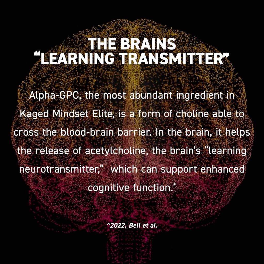 Kaged Nootropic Mindset Elite, Focus and Productivity Supplement, Organic Caffeine, Supports Working Memory, Focus, Energy, and Mood*, Strawberry Lemonade - 30 Servings 4