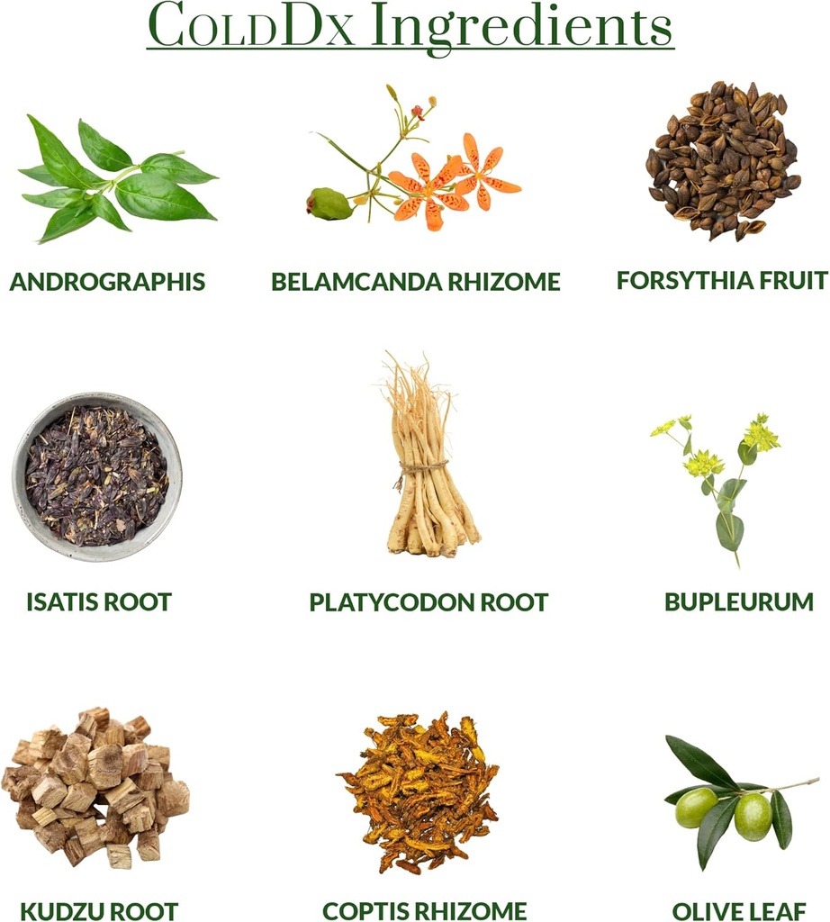 ColdDx Natural Herbal Defense & Respiratory Health Support Supplement - Non-Drowsy, Stimulant Free, Quick Relief - Vegan, Plant-Based - 60 Capsules 6