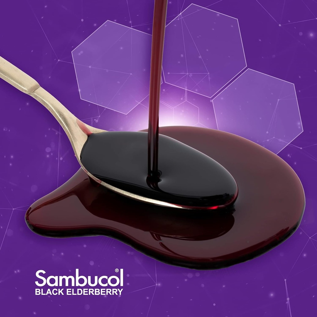 Sambucol Sugar-Free Black Elderberry Syrup - Sambucus Elderberry Syrup for Adults Immune Support, Elderberry Liquid, Elderberry Extract - 4 Fl Oz 6
