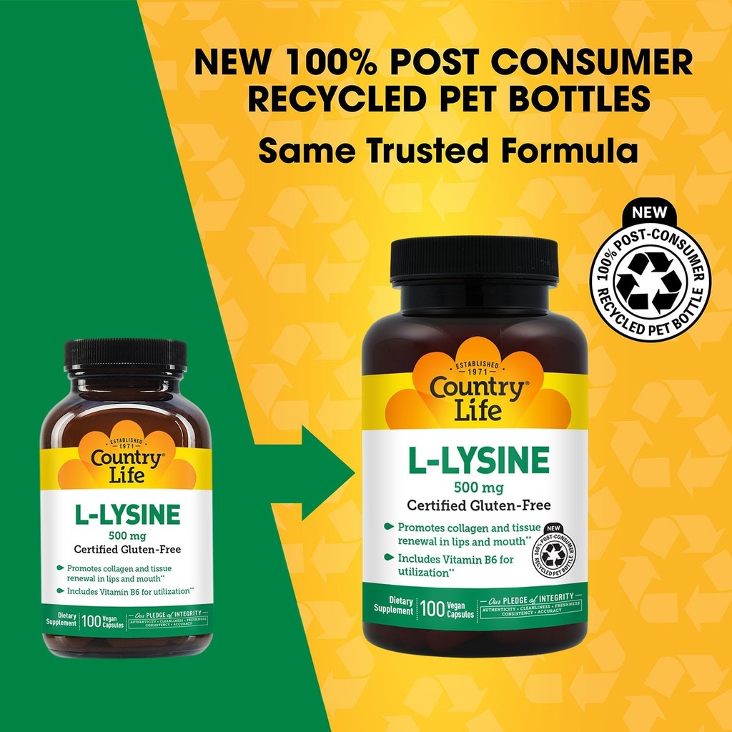 Country Life L-Lysine 500mg with B-6, Supports Immune Health, Promotes Collagen Renewal in Lips and Mouth, 100 Vegan Capsules, Certified Gluten Free, Certified Vegan 3