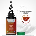 Omega 3 Krill Oil with Astaxanthin–500 mg Antarctic Krill Oil, Easy Absorb EPA & DHA for Heart Health – Non-GMO, Allergen-Free, GMP-Certified – 60 Softgels 3