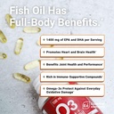 Essential Elements Omega-3 Fish Oil Supplement with EPA & DHA | Fatty Acids for Immune, Heart & Cognitive Support | Omega-3 Fish Oil 120 Softgels (2-Pack) 5