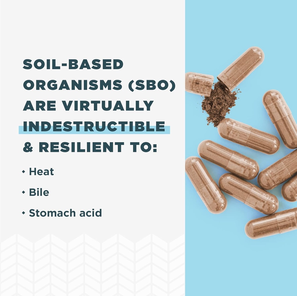 Ancient Nutrition Probiotics for Women, SBO Probiotics Women's 60ct, Digestive and Immune Support, Bloating Relief for Women, Gluten Free, Superfoods Blend, 25 Billion CFUs* 5