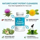 DR VITAMIN SOLUTIONS Liver Cleanse Detox and Repair - Milk Thistle Supplement with Chlorophyll, Digestive Enzymes, Artichoke & Dandelion for Natural Gallbladder Support, 30 Vegan Capsules 6