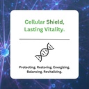 Paradise Herbs L-Carnosine, Super Potent, Ultra Pure, Antioxidant, Vegan, Non GMO, Gluten Free, 60 Vegetarian Capsules 4