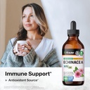 BIO KRAUTER Echinacea Drops - Natural Immune Support - Echinacea Tincture Supplement - Vegan, Alcohol & Sugar Free Drops - 4 Fl.Oz. 3