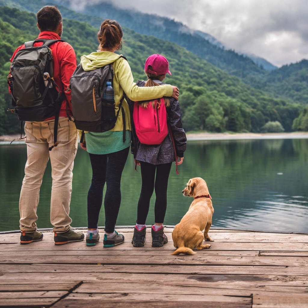 Konsyl Original Formula Daily Fiber, 100% All Natural Psyllium Husk Powder - Stickpacks 30ct 6