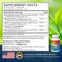 Vital Plan Daily Herbal Supplement by Dr. Bill Rawls – Herbal Immunity Booster for Immune Support, Microbiome Balance & Cell Health — Reishi Mushroom, Turmeric & Rhodiola 3