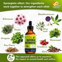 Canis&Cattus Natural Antibiotic for Dogs & Cats – Liquid Pets Antibiotic – Supports Immunity, Reduces Inflammation, Controls Parasites, and Boosts Urinary Health – 2 oz 4