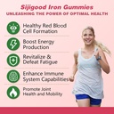 Vegan Iron Supplement for Women, with Vitamin A, C, B6, B12, Folate and Zinc, Energy Boost, Sugar Free, No After Taste - Delicious Cherry Flavor, 60 Count 4