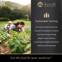 bodi : Muira Puama Powder | 4oz to 5lb | 100% Pure Natural Hand Crafted (1 lb) 5