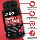 Colon Cleanser Detox & Kidney Cleanse - 15 Day Colon Cleanse Pills with Ginger & Kidney Detox Support Supplement Cranberry - Bowel Movement Supplements for Intestinal Stomach Bloating Gut & Kidneys 4