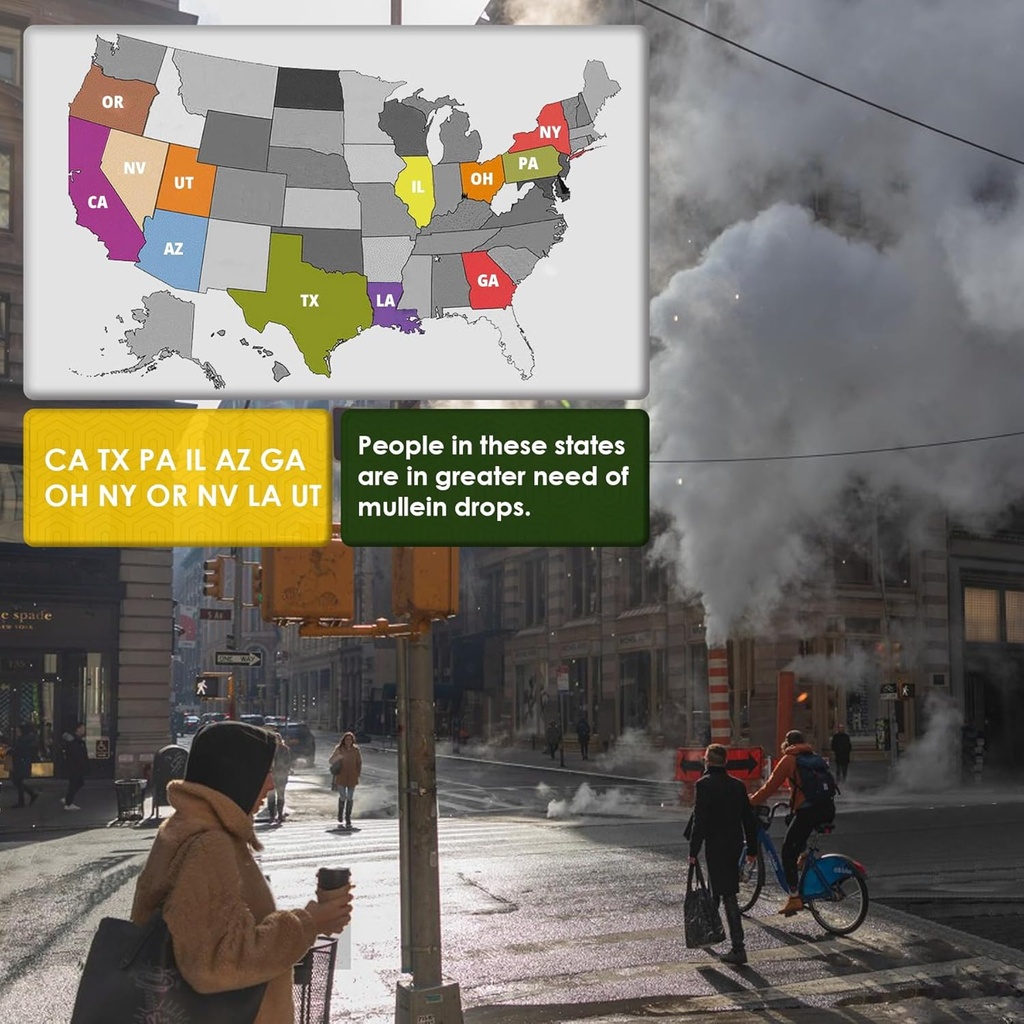 Mullein Drops for Lungs, Mullein Leaf Extract Herbal Supplement, Natural Lung Cleanse, Respiratory & Immune Support, Breathe Health, Tincture with Marshmallow, Elderberry - 2 fl Ounces 4