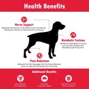 CobalaVet Vitamin B12 & B9 for Small Dogs & Cats - Supports The Nervous System, Brain Function, Immune Defenses & Cell Growth - Blood Cell Formation - Metabolic Pathway - 60 Soft Chews 6