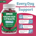 YUM-V'S Magnesium Citrate Gummies – 900mg Highly Absorbable Magnesium Gummies for Women & Men to Support Nerve, Muscle & Enzyme Function – Gluten-Free, Kosher & Raspberry Flavor (90 Count) 3