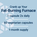 Life Extension 7-Keto DHEA Metabolite – Crank Up Your Fat-Burning Furnace – Non-GMO – Gluten-Free – 100 Mg – 60 Vegetarian Capsules 6