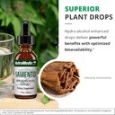 NutraMedix Samento Cat's Claw Tincture - Cat's Claw Immune Support Supplement for Brain, Antioxidant, Cardiovascular & Microbial Support - Bioavailable Herbal Supplements from Nature (1oz / 30ml) 6