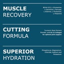 Durasport – 11g Sport BCAA | Muscle Recovery, Energy & Hydration Post Workout +UC-II Collagen | 8 Grams 2:1:1 Branched Chain Amino Acids + 3g Amino & Hydration Blend | Watermelon, 30 Serv 6