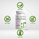 DEAL SUPPLEMENT L Methylfolate 15mg Per Serving, 240 Veggie Capsules – Active Folic Acid Form (5-MTHF), Bioavailable Methylated Folate – Prenatal, Energy, & Brain Support Supplement – Non-GMO 4
