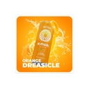 MITRA-9 Botanical Beverages - Kava Drink Flavor Variety Pack With Kava Root Extract - Mood Enhancer - Plant Based - Promotes Natural Calm & Clarity (12 Fl. Oz) (24) 4