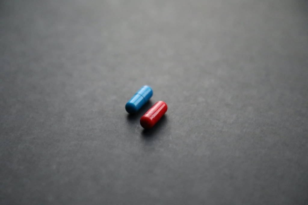 Dream Leaf Pro - Premium Lucid Dreaming Supplement - 60 Capsules,Valerian Root, Mugwort, Alpha GPC, Choline Bitartrate, Huperzine-a 3