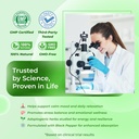 Sotalix Kava Kava Supplement with Ashwagandha Rhodiola St. John's Wort for Mood, Energy & Calming Support - USA Made & Tested (150 Count (Pack of 1)) 6