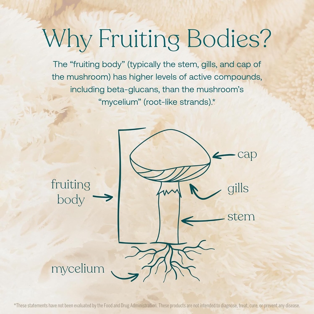 True Grace Mushroom Myco-Renew Blend Daily Immune Support - 60 Count Capsules - Organic 6