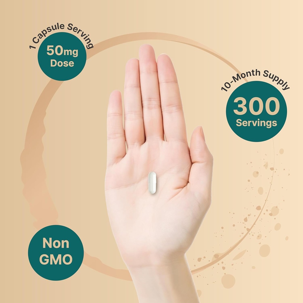 NatureBell DHEA 50mg for Men & Women, 300 Capsules | Micronized for Better Absorption | Plant-Based Source | Supports Energy, Metabolism & Healthy Aging | Non-GMO, Made in USA 5