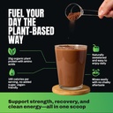 vedge Vegan Protein Powder - Plant Protein Powder with Pea, Pumpkin & Sunflower - USDA Organic, Amino Acids, Dairy Free, Gluten Free, Soy Free, Keto, Non GMO, Smooth Texture - Chocolate - 20 Servings 5