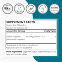 Supersmart Bacillus Coagulans Probiotic 4 Billion CFU per Day (High Absorption) - Lactobacillus Sporogenes Supplement | Non-GMO & Gluten Free - 60 Delayed Release Capsules 5