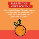 Garden of Life Kids Organic Vitamin D3 Gummies with 800 IU (100% Daily Value) for Strong Bones, Teeth, Brain & Immunity – Non-GMO, No Gluten, Vegetarian, Sugar Free, Orange Flavor, 60 Servings 5