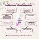 Micro Ingredients Multi Collagen Complex for Women & Hair Vitamins Complex Capsules Bundle 2 Pack | Grass-Fed Collagen Peptides | 14-in-1 Advanced Hair Growth Support 6