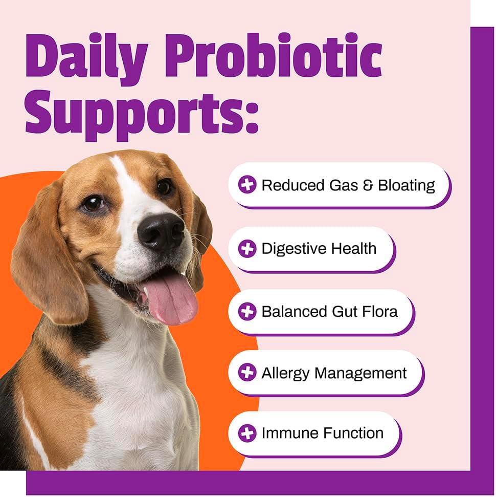 Pet Naturals Daily Probiotic for Dogs, 120M CFUs - Pre and Probiotics for Dogs Digestive Health, Gut Health, Immune Support, Diarrhea, Allergies and Itching - 60 Chews, Duck Flavor 5