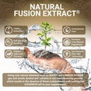 Organic Turmeric Curcumin Capsules - Includes Organic Ginger and Black Pepper Extracts | Certified Organic by USDA | 100% Natural Herbal Supplement | 60 Pills 4