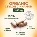 Ceylon Cinnamon Capsules 1800mg - Certified Organic Cinnamon, Bottled in USA, & Pure Extra Strength Ceylon Cinnamon Supplement, Antioxidant Pills, Non-GMO & Gluten Free, Sugar Free - 120 Capsules 4