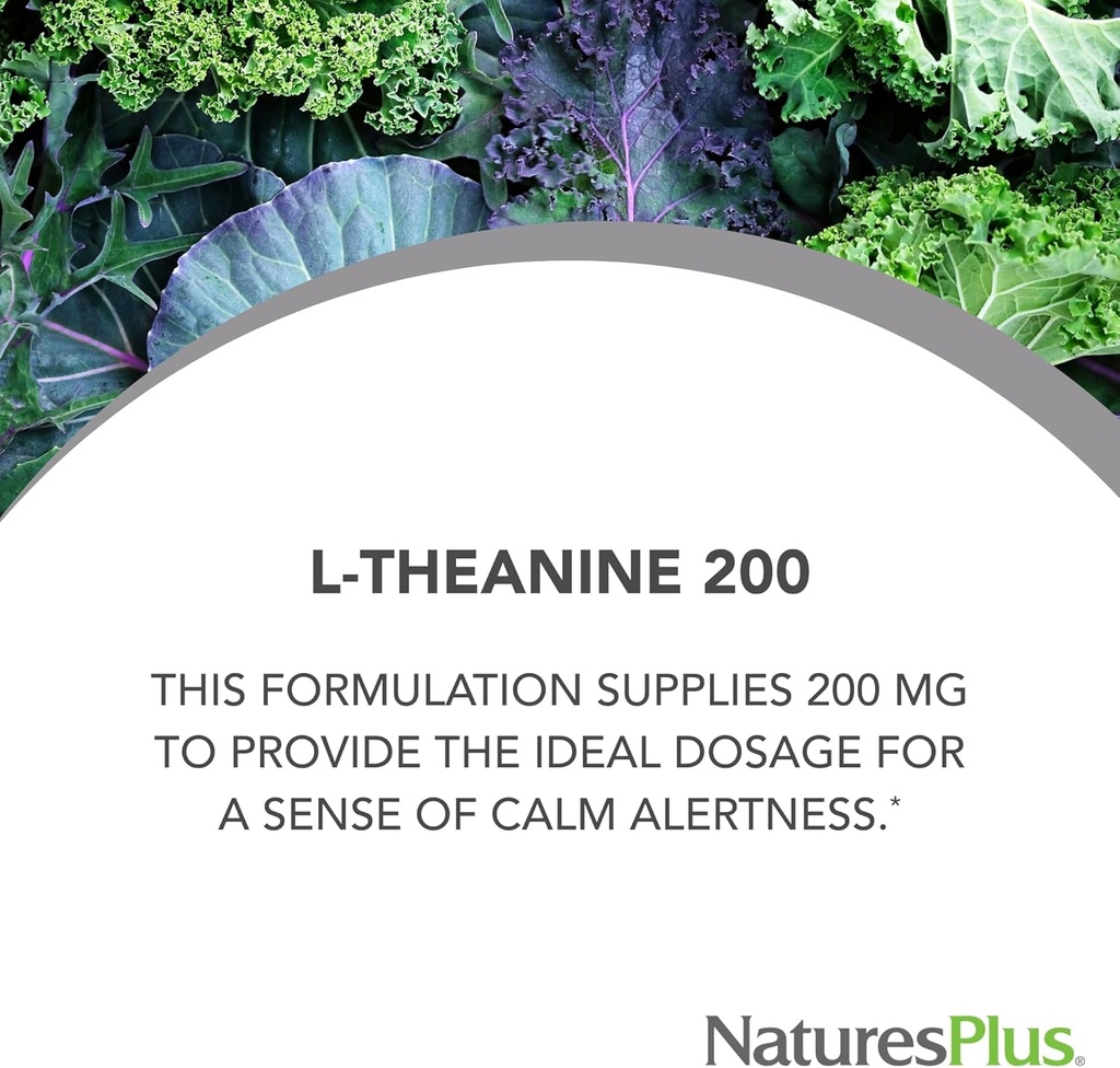 Natures Plus PRO L-Theanine - 60 Capsules - Supports Calm Alertness, Healthy Relaxation & Improved Rest - Non-GMO, Vegan & Gluten Free - 60 Servings 3