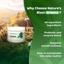 Greens Superfood Powder - 46 Superfoods, Probiotics & Enzymes for Gut Health, Metabolism & Energy - Vegan Green Powder Blend, 1 Bottle - 30 Servings 4