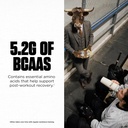 Levels 100% Micellar Casein Protein, Hormone Free, Chocolate, 4LB 6